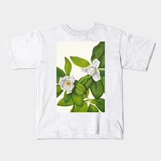 Sweetbay magnolia - Botanical Illustration Kids T-Shirt